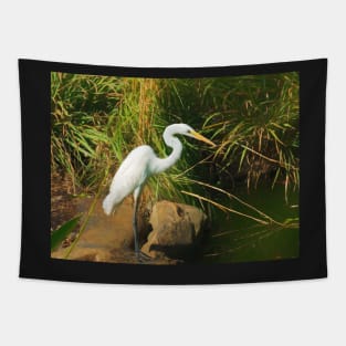 Great White Egret By Water Tapestry