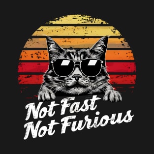 Not Almost Not Furious Lazy Relaxed Cat T-Shirt