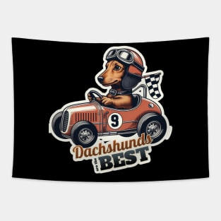 Car racer Dachshund Tapestry