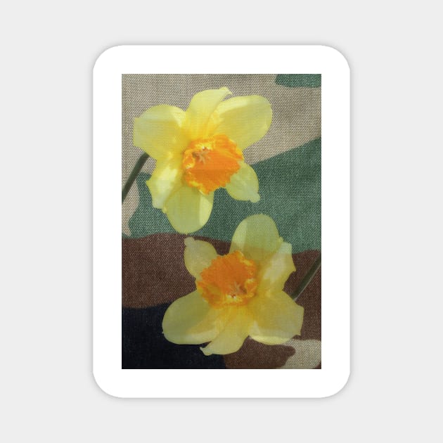 Bi Colour Daffodils Magnet by avrilharris