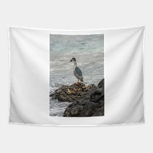 Black-crowned night heron of hawaii 7 Tapestry