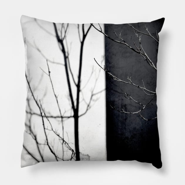 Tree on the Shadow Pillow by Kaleidoscope Therapy