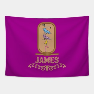 JAMES-American names in hieroglyphic letters-James, name in a Pharaonic Khartouch-Hieroglyphic pharaonic names Tapestry