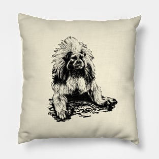 Cotton-top tamarin Pillow