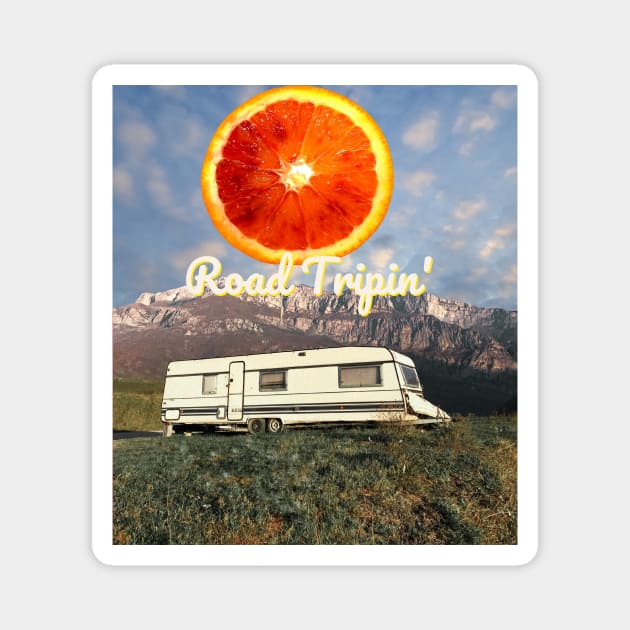 Road Tripping Into The Wild Collage Magnet by Amourist