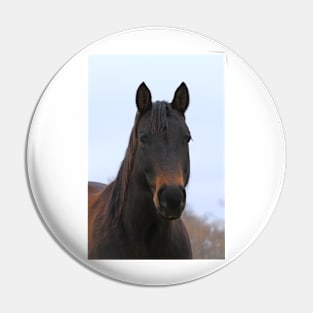 Colorful Horse with blue sky Pin