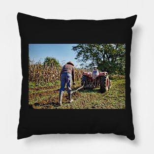 Potatoes harvest Pillow