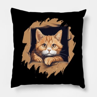 Cute Ginger Pillow