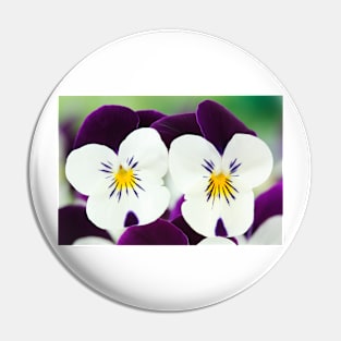 Viola  Rocky White with Purple Wings  Rocky series Pin