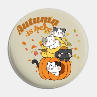 Autumn is here - Hello Fall - Cat in Pumpkin Pin