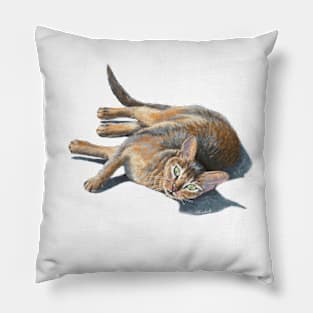 Abyssinian cat lying Pillow