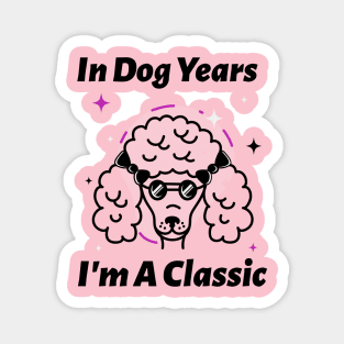 In Dog Years I'm A Classic Magnet