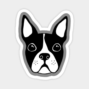 Cute boston terrier illustration Magnet