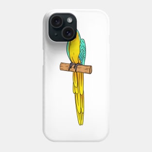 Blue-and-yellow macaw bird cartoon illustration Phone Case