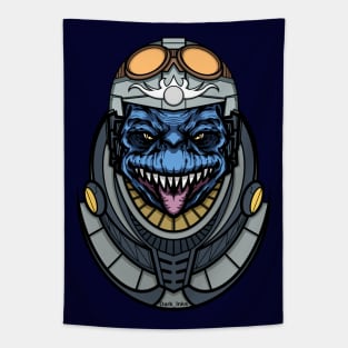 Outer Spacer Tapestry