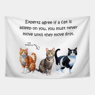 Experts agree if a cat is asleep on you, you must never move until they move first - funny watercolour cat design Tapestry