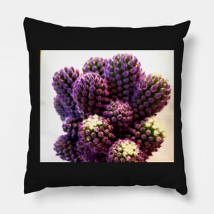 Rare purple gemstone cactus Pillow