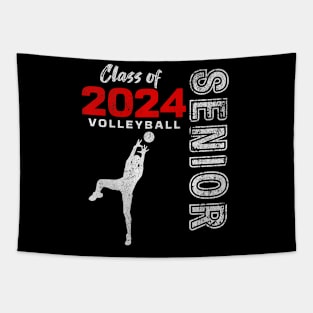 Volleyball Player Senior Class of 2024 - Graduation 2024 Premium Tapestry