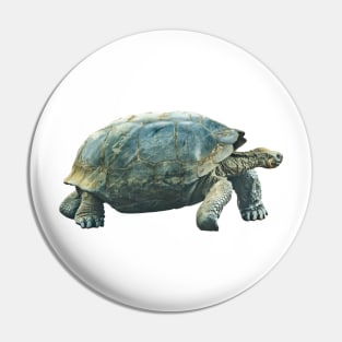 Galapagos Giant Turtle Pin