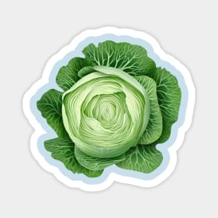 Illustration of cabbage Magnet