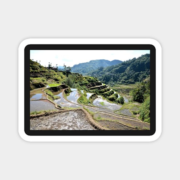 Rizières en terrasses Banaue, Philippines Magnet by franck380