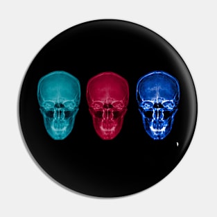 Three skulls , coloured X-ray skulls. Pin