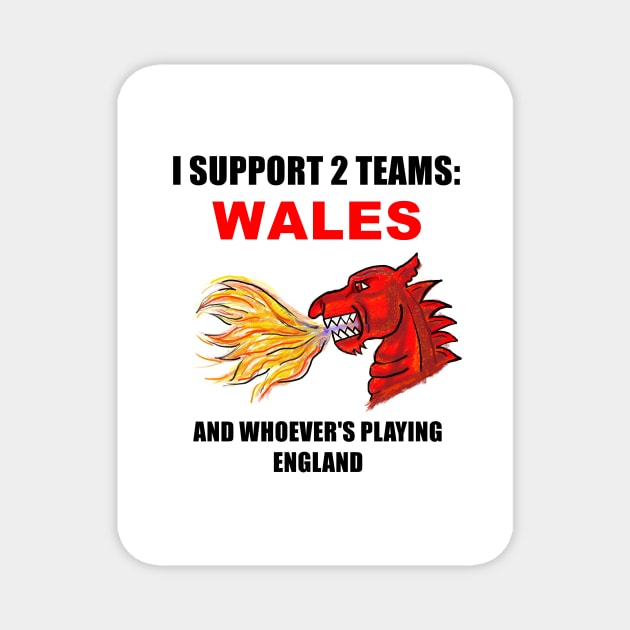 I SUPPORT 2 TEAMS WALES Magnet by MarniD9