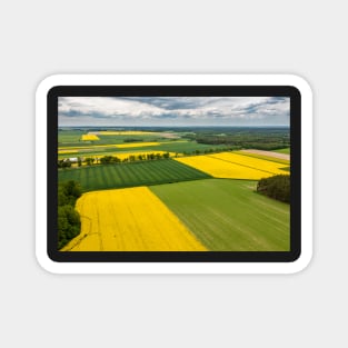 Agricultural landscape, fields of yellow colza and green grain Magnet