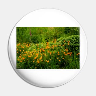 fli poppy field Pin