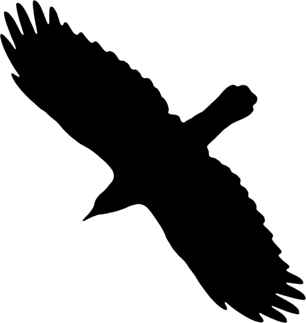 Flying Crow Black Bird Silhouette Kids T-Shirt by NaturalDesign