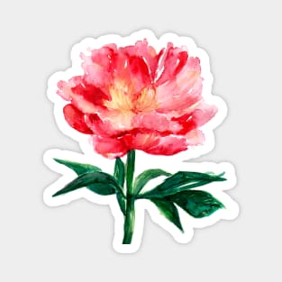 Loose Watercolor Peony Magnet