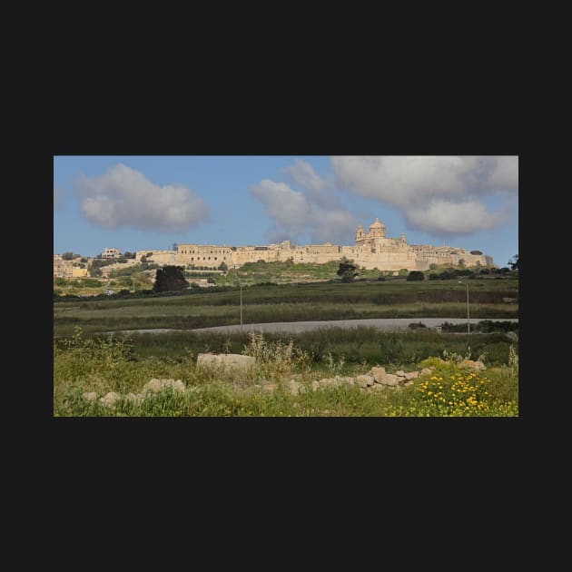 Mdina, Malta by Carole-Anne