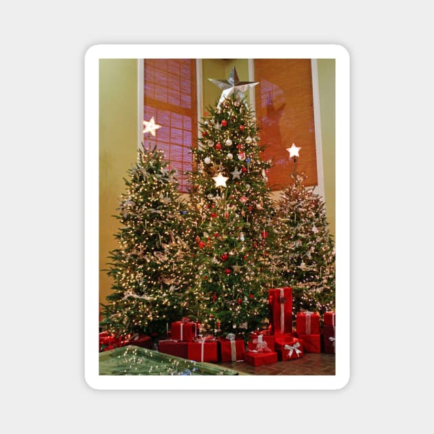 Three Christmas Trees Magnet by Cynthia48