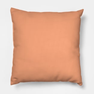 Tan Pillow