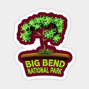 Big Bend National Park Magnet