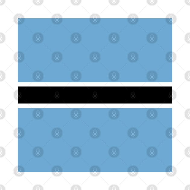 Botswana Flag by DetourShirts