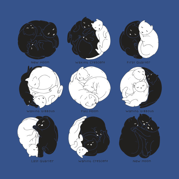 Feline Lunar Cycle - Kitty - T-Shirt