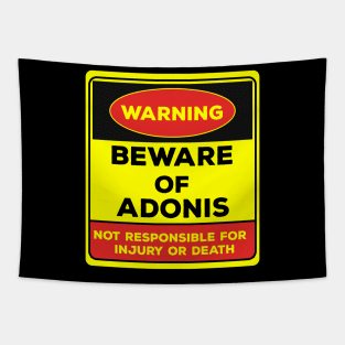 Beware Of Adonis/Warning Beware Of Adonis Not Responsible For Injury Or Death/gift for Adonis Tapestry