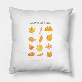 golden leaves in autumn Pillow