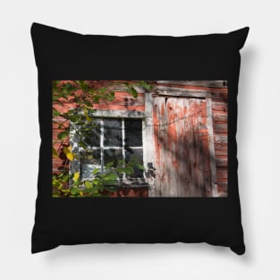 barn window and door Pillow