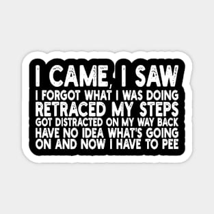 i came, i saw i forgot what i was doing retraced my steps got distracted on my way back have no idea what's going on and now i have to pee Magnet