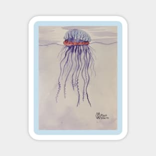 Portuguese Man O' War Magnet