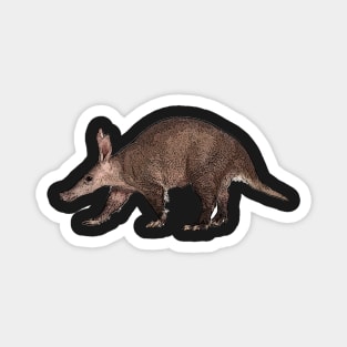 Aardvark Magnet