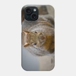 Grey Squirrel Phone Case