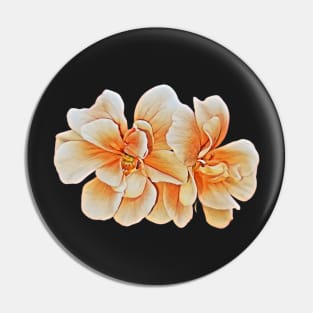 Peach geranium flowers Pin