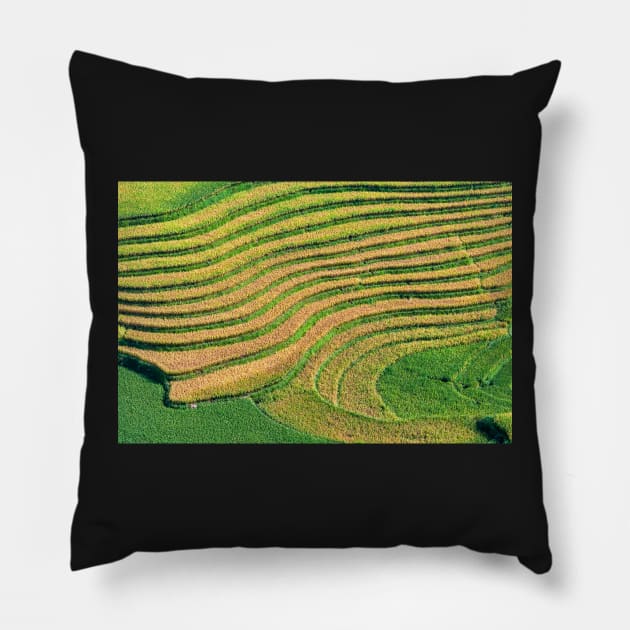 Rice Terrace3. Pillow by bulljup