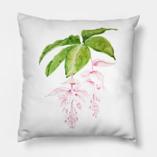 pink medinilla magnifica watercolor Pillow