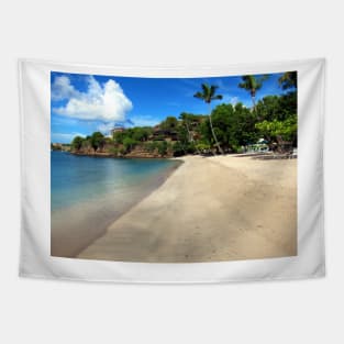 Lance aux Epines Beach, Grenada. Tapestry