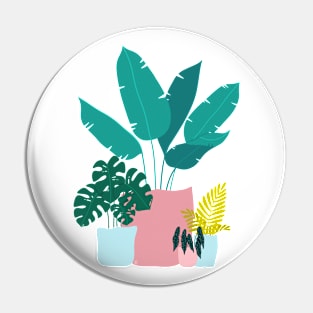 Tropical Houseplants Pin