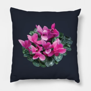 Cyclamen - Bright Magenta Cyclamen Pillow